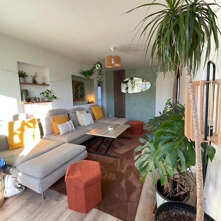 Appartement T3 - Foret & Plage Anglet Dış mekan fotoğraf