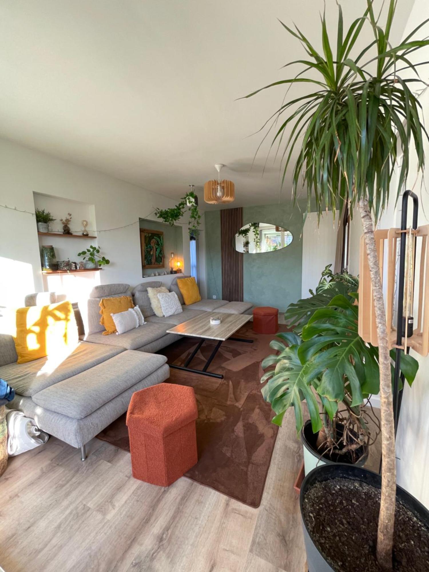 Appartement T3 - Foret & Plage Anglet Dış mekan fotoğraf